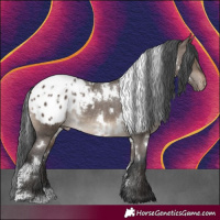 Horse Color:White Spotted Brown Dun Blanket Rabicano 