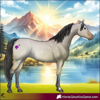 Horse Color:Bay Dun