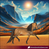 Horse Color:Buckskin 