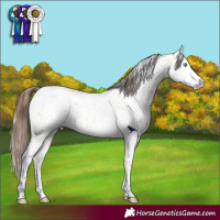 Horse Color:Buckskin Roan Pearl Appaloosa  and Bay Roan Appaloosa 