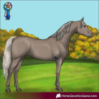 Horse Color:Silver Grullo