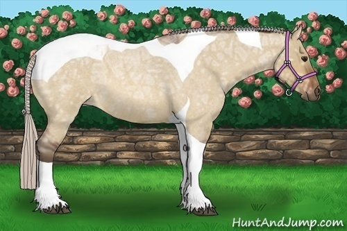 Horse Color:Silver Bay Ice Roan Dun Tobiano