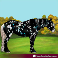 Horse Color:ERROR: UNKNOWN ANOMALY