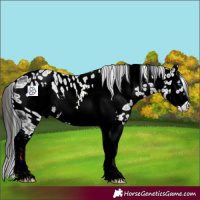 Horse Color:ERROR: UNKNOWN ANOMALY