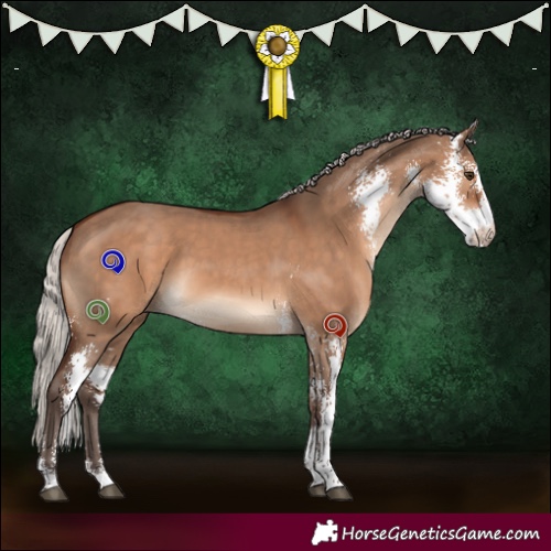 Horse Color:Silver Brown Dun Sabino 