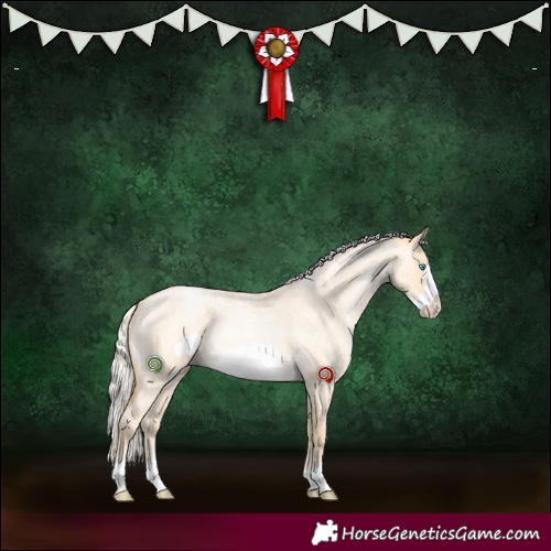 Horse Color:Silver Buckskin Roan Pearl Dun Frame 