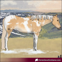 Horse Color:White Spotted Palomino Dun Tobiano Rabicano 