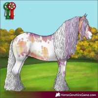 Horse Color:Watercolor Plaid White Spotted Silver Bay Onyx