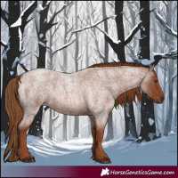 Horse Color:Red Roan 