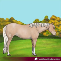 Horse Color:Silver Blue Roan Pearl Tobiano Frame 