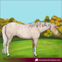 Horse Color:Silver Blue Roan Pearl Tobiano Frame 