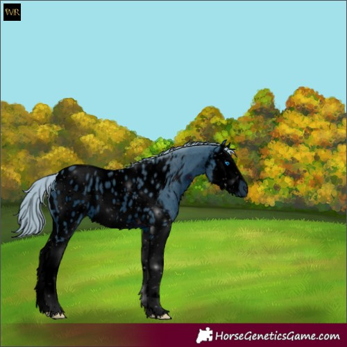Horse Color:ERROR: UNKNOWN ANOMALY