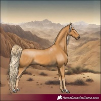 Horse Color:Palomino