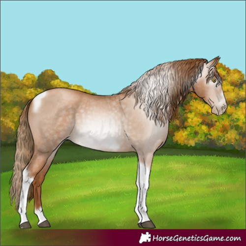 Horse Color:Gray Red Roan Pearl Tobiano Frame 