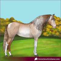 Horse Color:Gray Red Roan Pearl Tobiano Frame