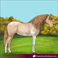 Horse Color:Red Roan Pearl Tobiano Frame 