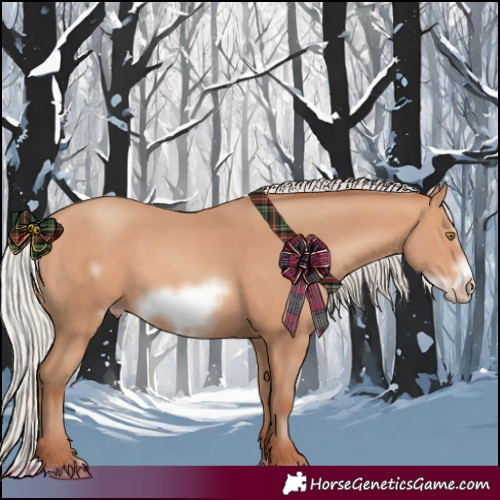 Horse Color:Silver Amber Champagne Frame