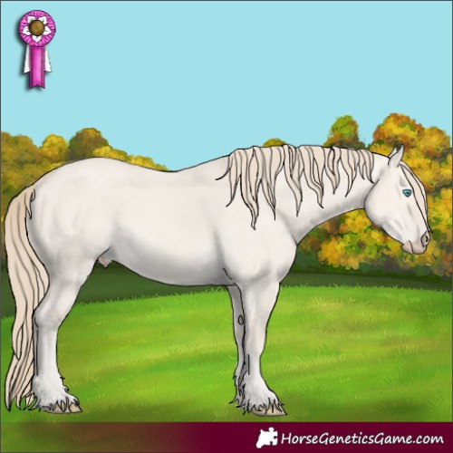 Horse Color:Smoky Creme Dun 