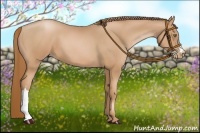 Horse Color:Chestnut Pearl