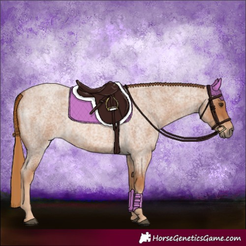 Horse Color:Red Roan 