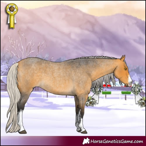 Horse Color:White Spotted Silver Buckskin Roan 