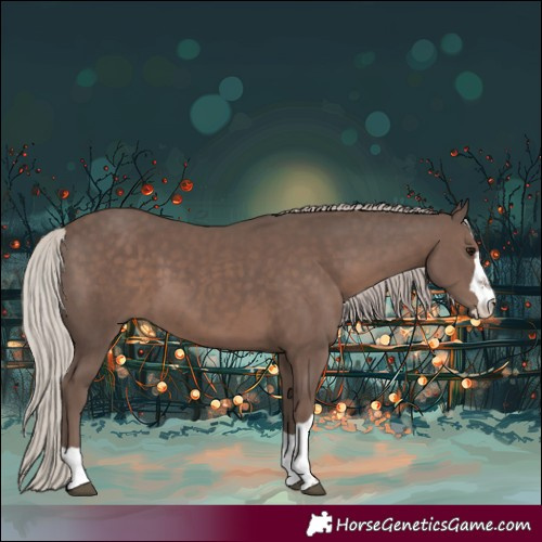 Horse Color:Silver Black 