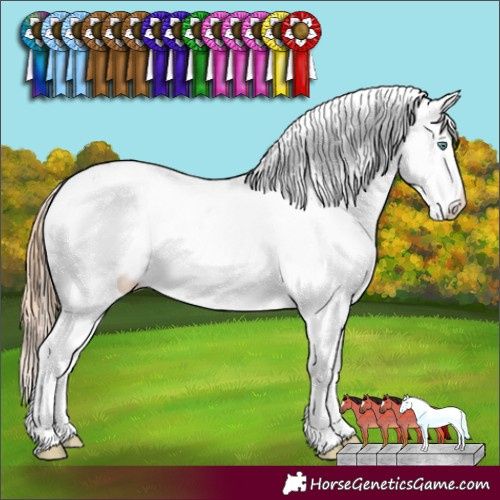 Horse Color:Classic Champagne Ice Pearl Dun Appaloosa 