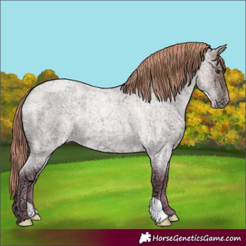 Horse Color:Grullo Ice Roan Pearl 