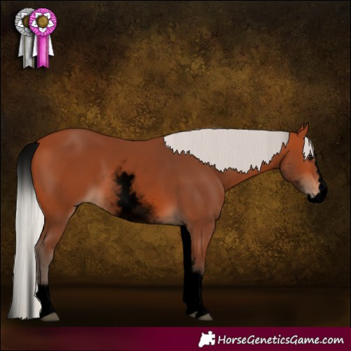 Horse Color:Void White Spotted Silver Bay Splash
