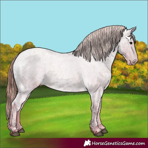 Horse Color:Blue Ice Roan Pearl Appaloosa 