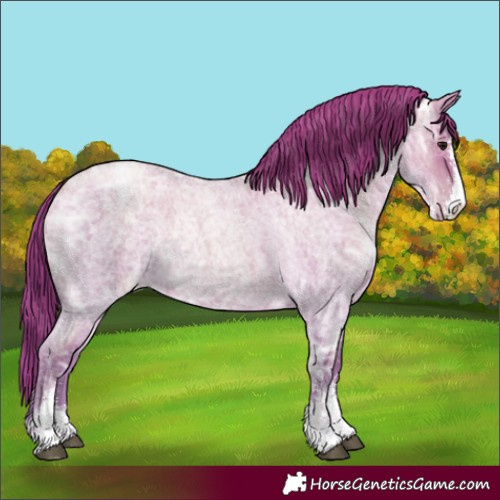 Horse Color:Blue Ice Roan Pearl Sabino 