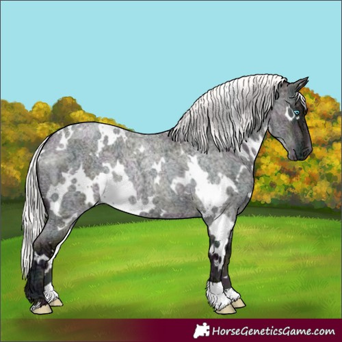 Horse Color:White Spotted Midnight Silver Sable Cream Champagne Ice Roan Pearl Dun 