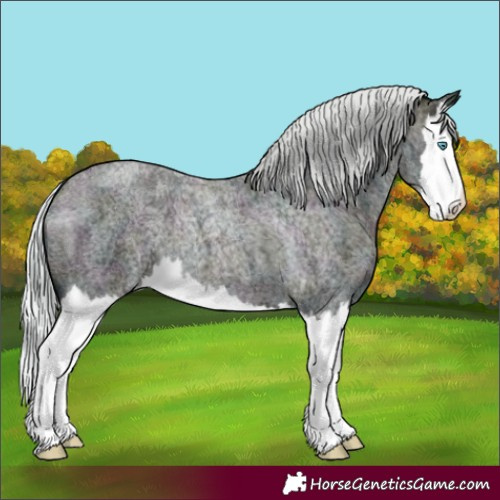 Horse Color:Midnight Silver Blue Ice Roan Pearl Splash 