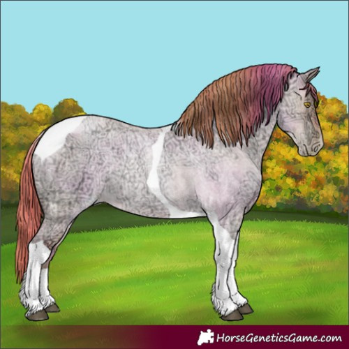 Horse Color:Bay Ice Roan Pearl Dun Tobiano 