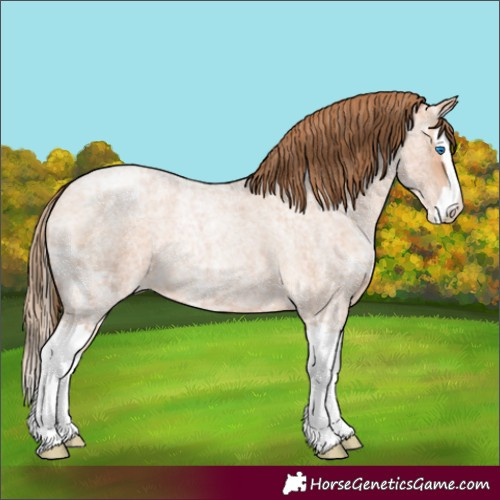 Horse Color:Bay Ice Roan Pearl Splash 