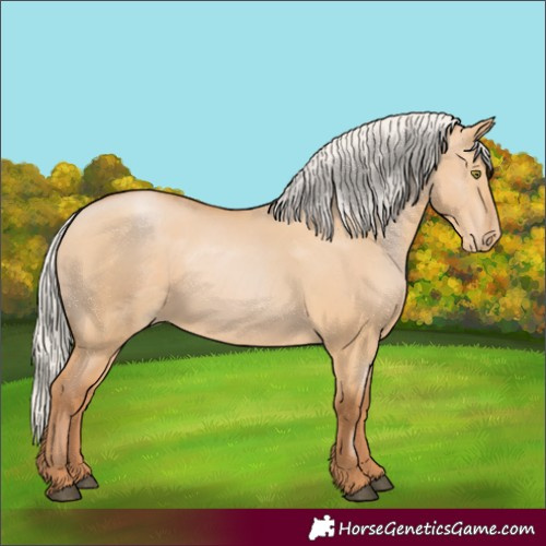 Horse Color:Silver Bay Pearl Dun