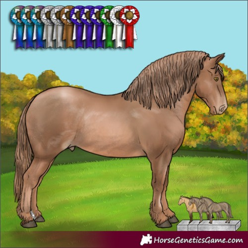 Horse Color:Liver Chestnut Pearl Rabicano 