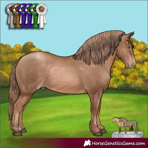 Horse Color:Liver Chestnut Pearl Rabicano 