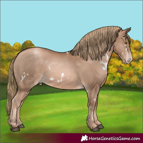 Horse Color:White Spotted Liver Chestnut Pearl 