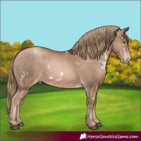 Horse Color:White Spotted Liver Chestnut Pearl 