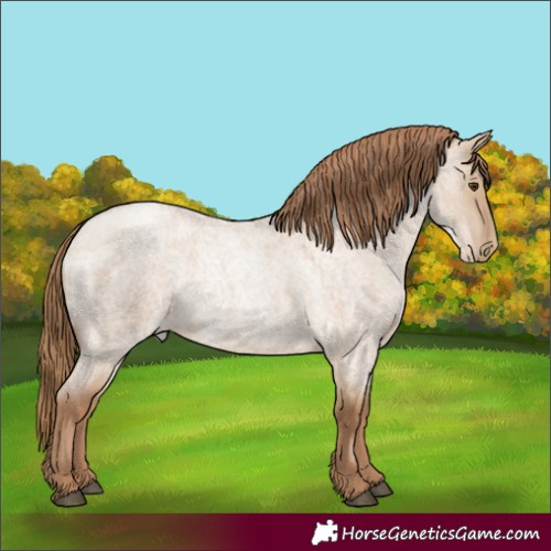 Horse Color:Grullo Roan Pearl 
