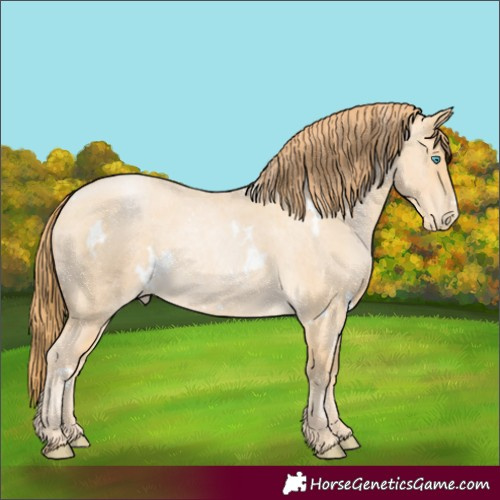 Horse Color:White Spotted Buckskin Roan Pearl 