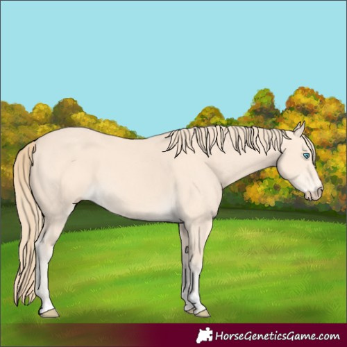 Horse Color:Perlino 