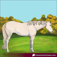Horse Color:Perlino 