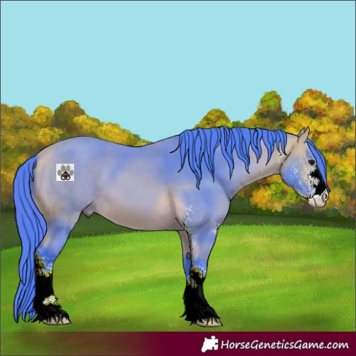 Horse Color:Watercolor Buckskin Sabino 