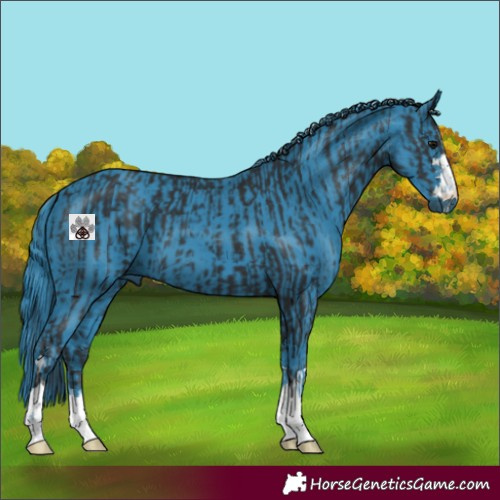 Horse Color:Black  and Watercolor Black 