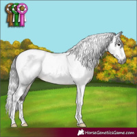 Horse Color:Gray Brown Tobiano Appaloosa Rabicano 