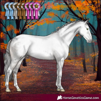 Horse Color:Gray Brown Dun Mushroom Sabino Tobiano Appaloosa Brindle 