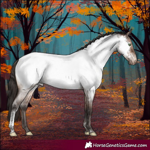 Horse Color:Brown Roan Dun Mushroom Tobiano Appaloosa Brindle 