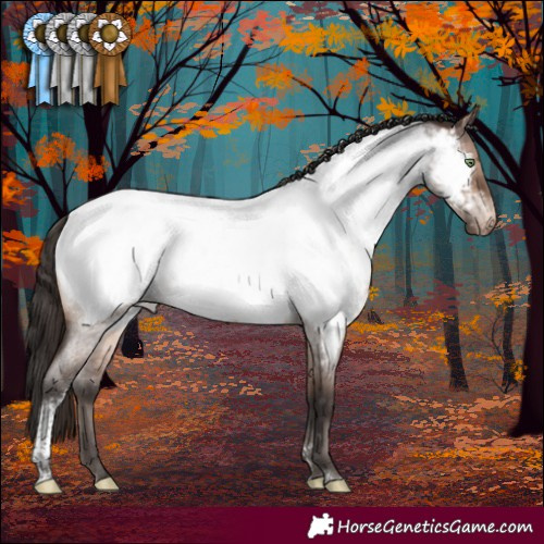 Horse Color:Brown Roan Dun Mushroom Tobiano Appaloosa Brindle 
